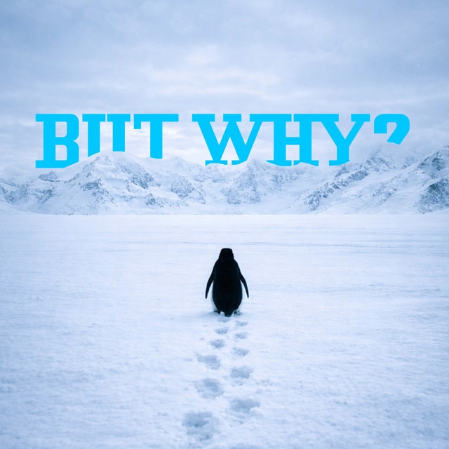 BREADY - BUT WHY? cover artwork